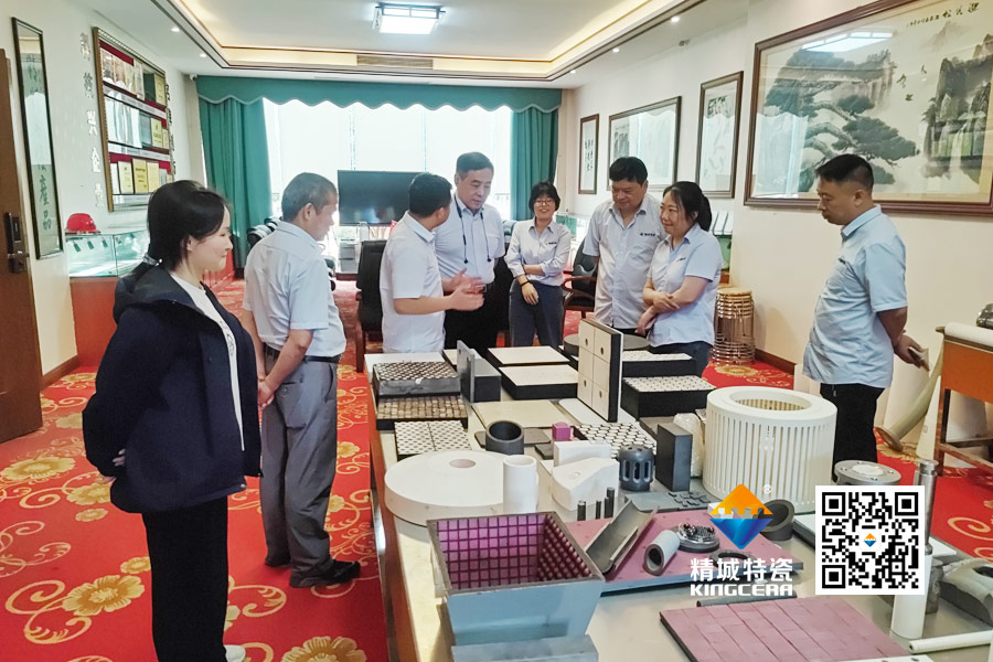 清华大学潘伟教授到访Z6人生就是博特瓷